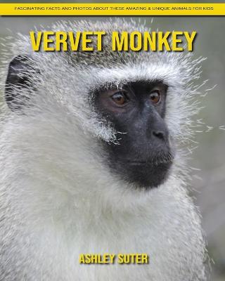 Book cover for Vervet Monkey