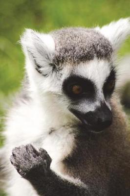 Book cover for Portrait of a Ring-Tailed Lemur Journal