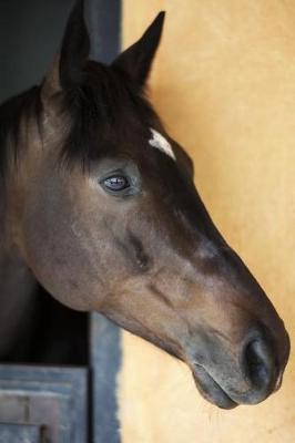 Book cover for Elegant Bay Horse Portrait Journal