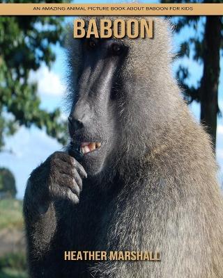 Book cover for Baboon