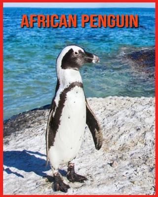 Book cover for African Penguin