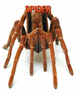 Book cover for Spider