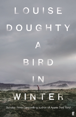 Book cover for A Bird in Winter