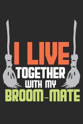 Book cover for I live Together with my Broom-mate