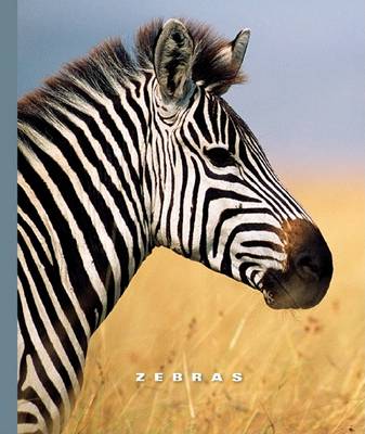 Cover of Zebras