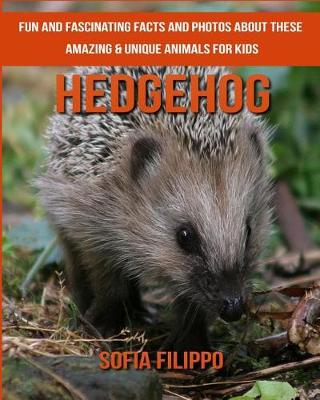 Book cover for Hedgehog