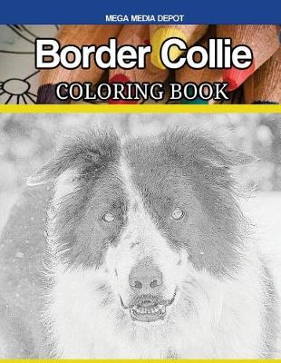 Book cover for Border Collie Coloring Book