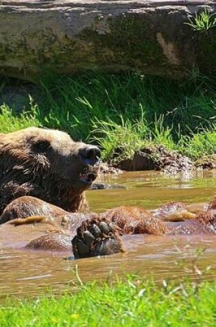 Cover of Brown Bear Taking a Bath in a Pond Journal