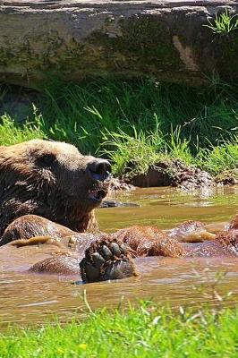 Book cover for Brown Bear Taking a Bath in a Pond Journal