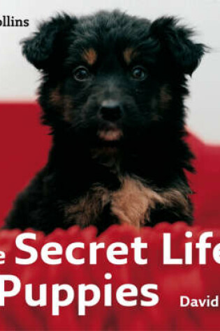 Cover of The Secret Life of Puppies