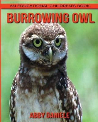 Book cover for Burrowing Owl! An Educational Children's Book about Burrowing Owl with Fun Facts & Photos