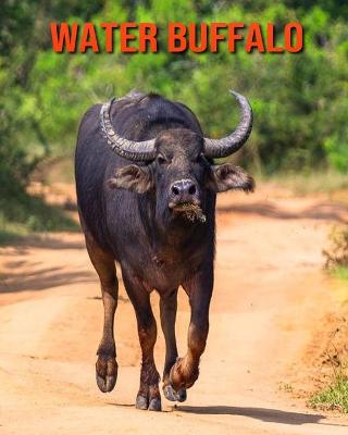 Book cover for Water Buffalo