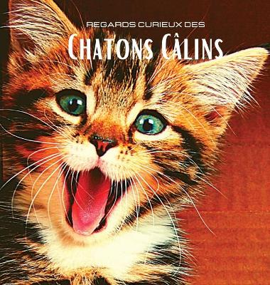 Book cover for Regards curieux des Chatons Calins