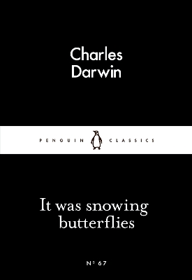 Cover of It Was Snowing Butterflies