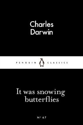 Cover of It Was Snowing Butterflies