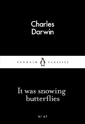 Book cover for It Was Snowing Butterflies