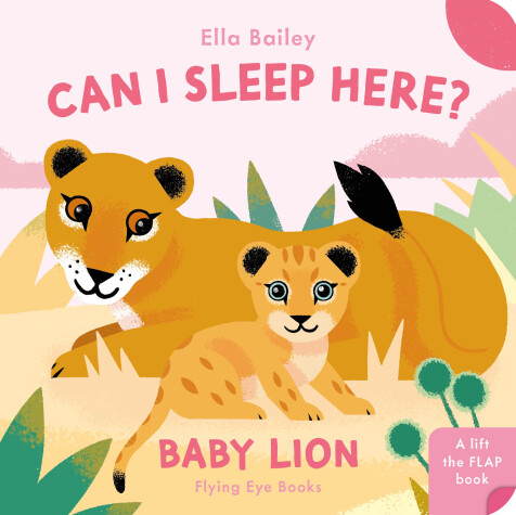 Book cover for Can I Sleep Here Baby Lion