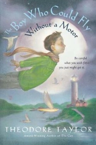 Cover of Boy Who Could Fly Without a Motor