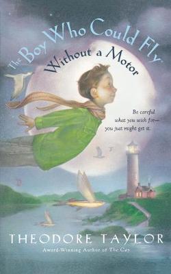 Book cover for Boy Who Could Fly Without a Motor