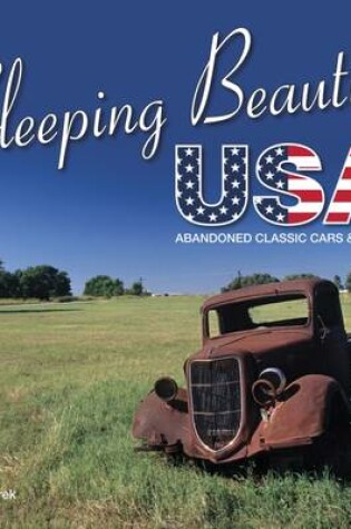 Cover of Sleeping Beauties USA