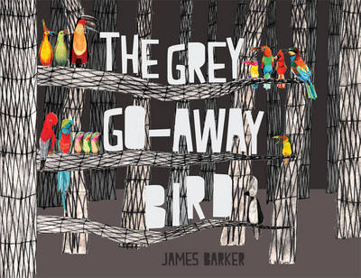 Book cover for The Grey Go-Away Bird