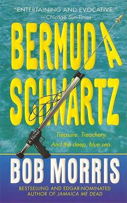 Book cover for Bermuda Schwartz