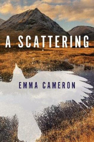 Cover of A Scattering