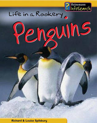 Book cover for Animal Groups: Life in a Rookery of Penguins