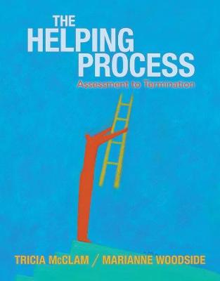 Book cover for Helping Process