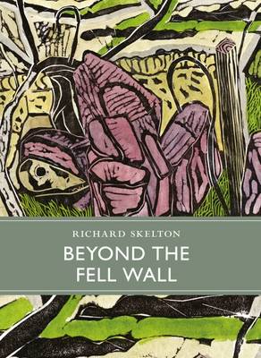 Book cover for Beyond the Fell Wall