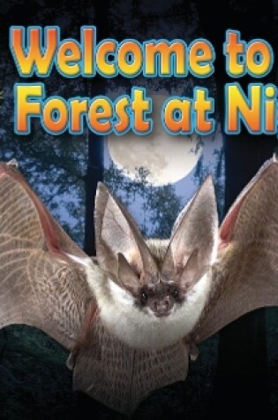 Cover of Welcome to the Forest at Night