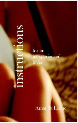 Book cover for Instructions for an Inexperienced Lover
