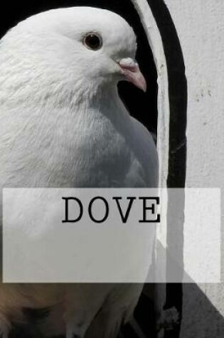 Cover of Dove