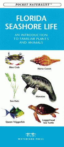 Book cover for Florida Seashore Life