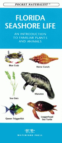 Cover of Florida Seashore Life