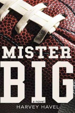 Cover of Mister Big