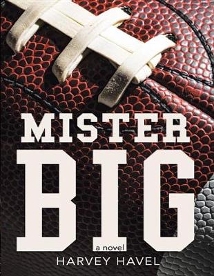 Book cover for Mister Big
