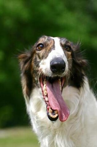 Cover of Website Password Organizer Borzoi Profile