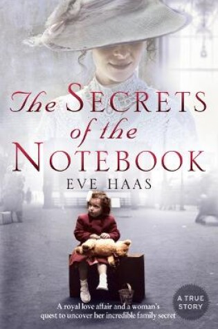 Cover of The Secrets of the Notebook