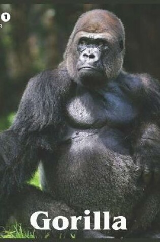 Cover of Gorilla 2021 Calendar