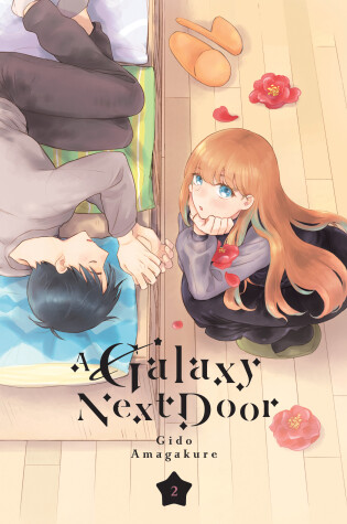 Cover of A Galaxy Next Door 2