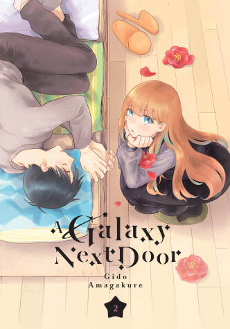 Cover of A Galaxy Next Door 2