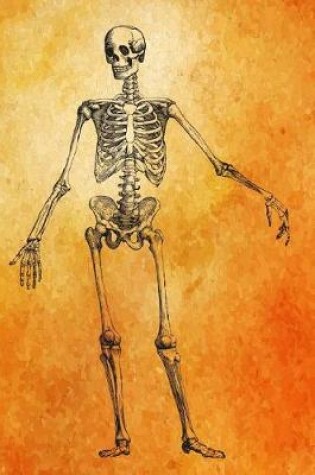 Cover of Full Front Skeleton Journal