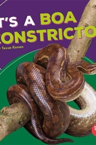 Cover of It's a Boa Constrictor!