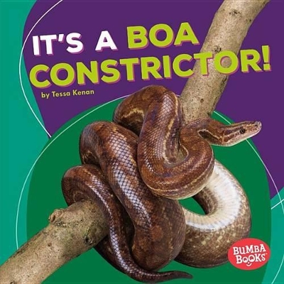 Book cover for It's a Boa Constrictor!