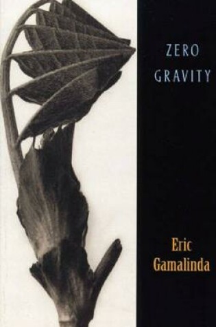 Cover of Zero Gravity