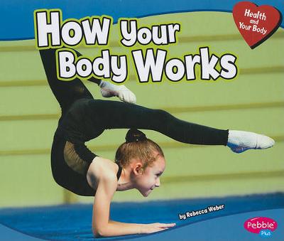 Book cover for How Your Body Works