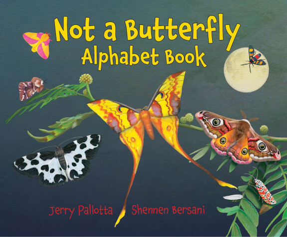 Book cover for Not a Butterfly Alphabet Book