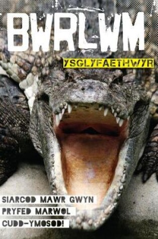 Cover of Cyfres Bwrlwm: Ysglyfaethwyr