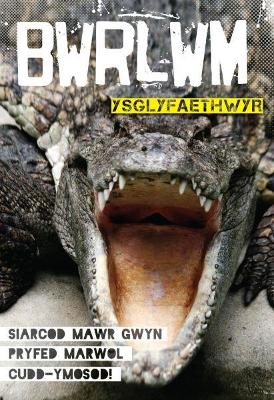 Book cover for Cyfres Bwrlwm: Ysglyfaethwyr